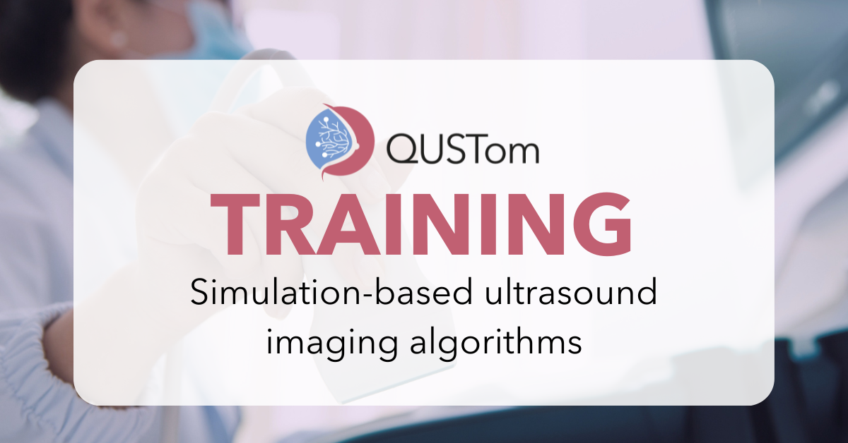 Simulation-based ultrasound imaging algorithms